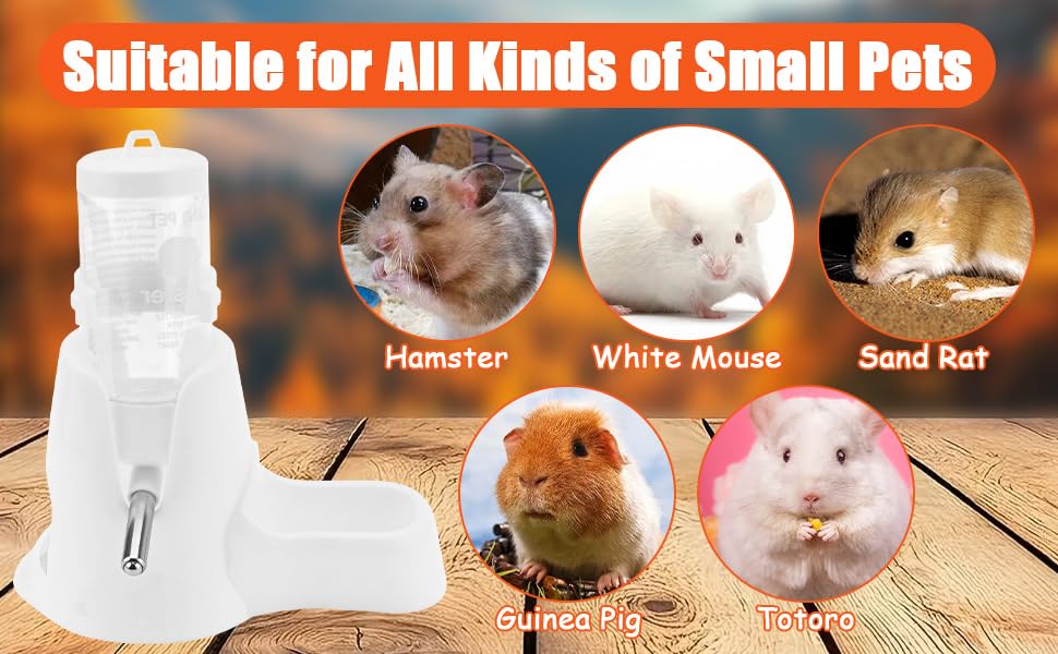 aplus content image