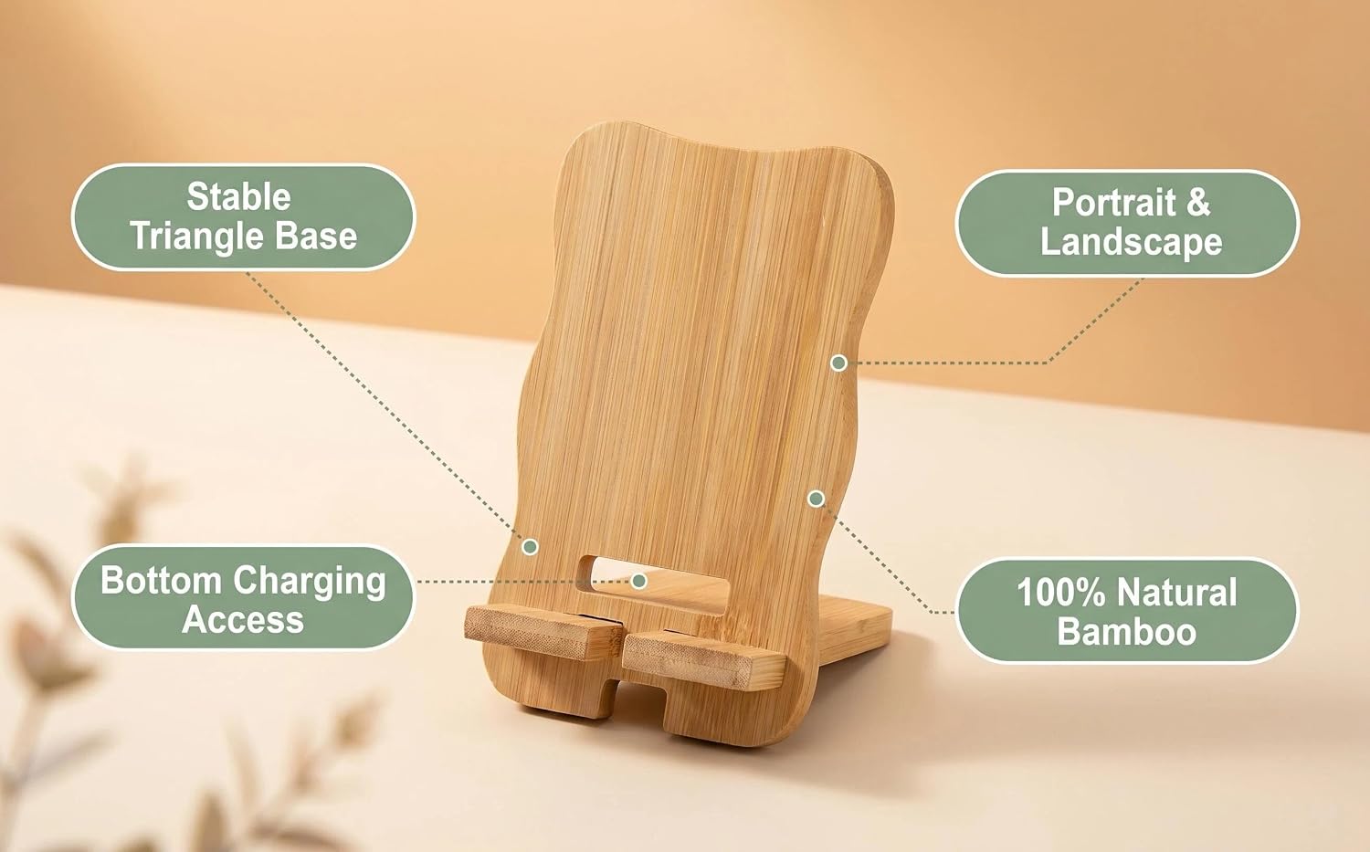 aplus content image