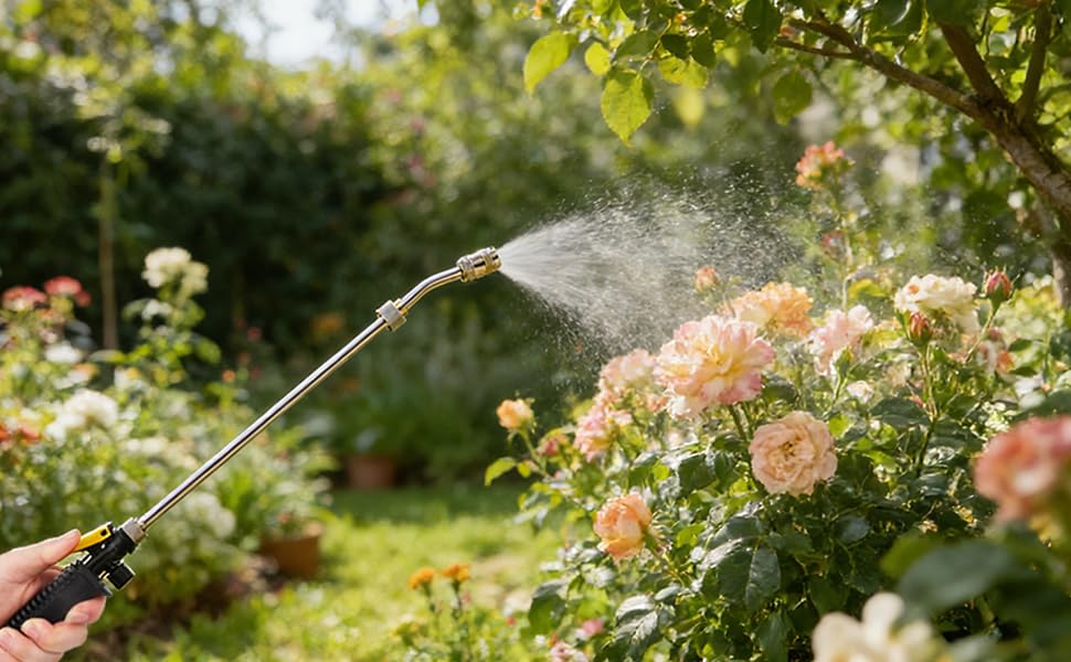 Garden hose spraying fine mist of water onto blooming rose bushes. Water droplets visible in sunlight against green foliage and pink flowers.