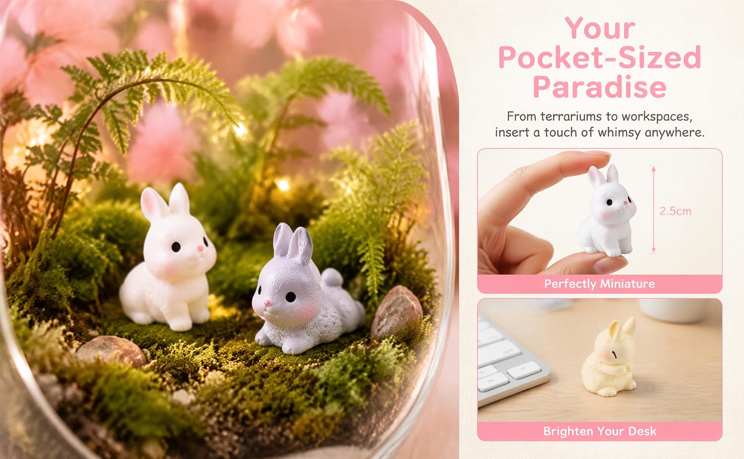 aplus content image